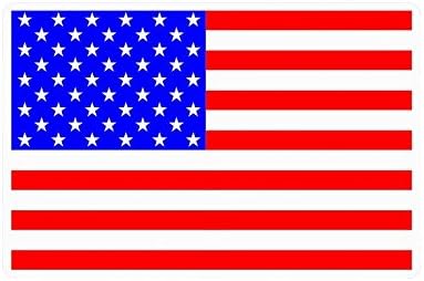 Custom American Flag Durable Home Indoor/Outdoor Floor Mat Doormats 23.6" x 15.7" (Small)