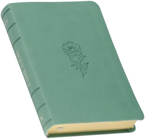 KJV Holy Bible, Giant Print Standard Size Red Letter Edition