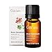 Gya Labs Rose Geranium Essential Oil for Skin - 0.34 Fl Oz - 100% Pure Natural Rose Geranium Oil for Diffuser, Aromatherapy Self-Care & Candle Making - Freshly Floral Scent