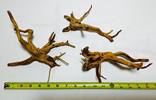 Set of 3 Small Spider Wood 6-9 Inches Each by Aquarium Plants Galore