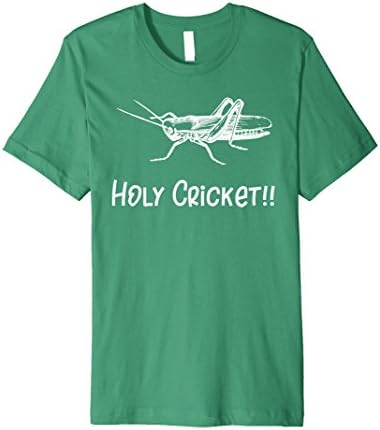 Mens Holy Cricket! Funny Cricket T-Shirt Large Kelly Green
