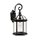 Trans Globe Lighting 4181 RT I Wentworth 8 Inch Dimmable and LED Bulb Compatible Outdoor Wall Lantern Light I 120 Volts I Rust Finish I Contemporary Light Fixture I
