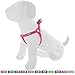 Pawtitas Solid Color Step in Dog Harness or Vest Harness Dog Training Walking of Your Puppy Harness Small Dog Harness Pink Dog Harness