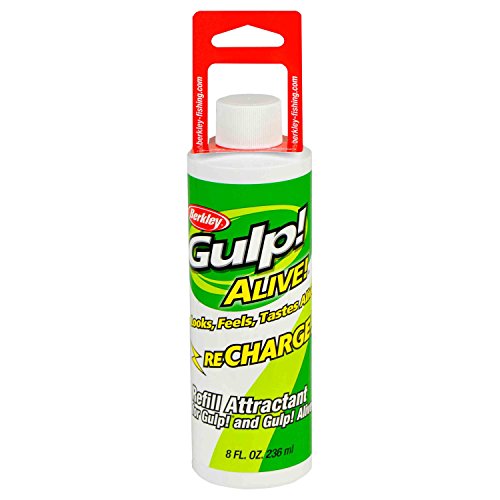 Garj8 Gulp Alive Recharge Juice 8oz Berkley 1253512