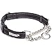 Friends Forever Martingale Collars for Dogs, Reflective No Pull Dog Collar for Training Large/Medium Breed Dogs, Medium