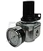 Heavy Duty in-LINE Compressed AIR Pressure Regulator for AIR Compressor, 7 to 215 PSI Adjustable, HIGH Flow Rate, Wall Bracket and Gauge Included (1/2