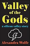 Image de Valley of the Gods: A Silicon Valley Story