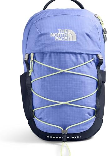 Amazon.com | THE NORTH FACE Teen Mini Recon Backpack, Hero Blue/Estate  Blue, One Size | Kids' Backpacks