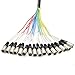 Seismic Audio - SAXT-16x10M - 16 Channel 10' XLR Male to 1/4