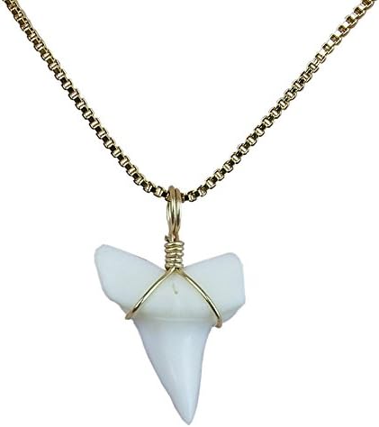 GemShark Shark Tooth Necklace Gold for Girl Women 14 K Plating Chain Choker Pendant Costume Party Wedding Jewelry