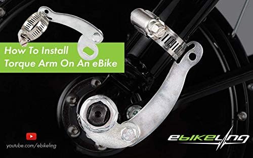 ebike torque plate