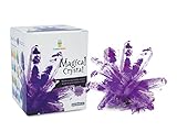 Magical Crystal Growing Kit - Amethyst Purple w T Samuel Treasure