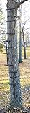 Guide Gear Quick Climbing Sticks 3 Pack (Misc.)