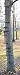 Guide Gear Quick Climbing Sticks, 3 Pack primary