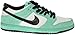 NIKE Men's Dunk Low Pro IW Skate Shoe