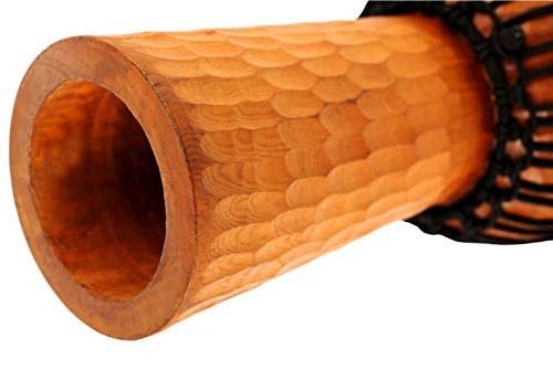 5 Meinl+Djembe+Mahogany+Wood+WARRANTY