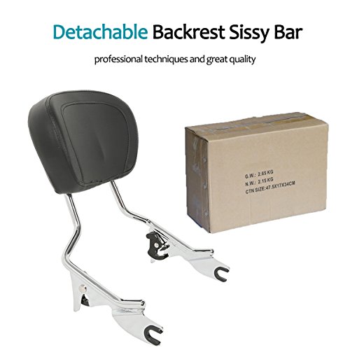 How To Remove Sissy Bar at Dallas Kyle blog