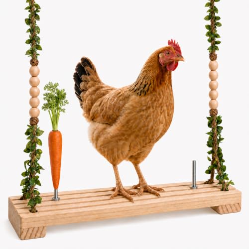 UvasDulces Hanging Chicken Swing