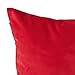 Deconovo Solid Luxurious Smooth Velvet Pillow Cases Red Cushion Covers with Invisible Zipper for Sofa 18 x 18 Inch Red 4 pcs