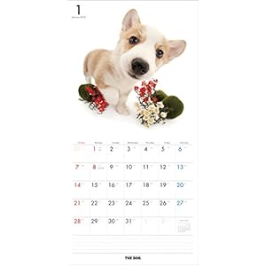 THE DOG Wall Calendar 2018 Welsh Corgi