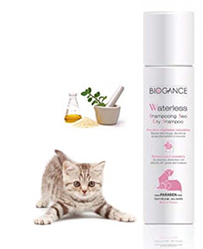 biogance cat shampoo