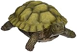 Design Toscano Gilbert the Box Turtle Statue, Multicolored (Lawn &amp; Patio)