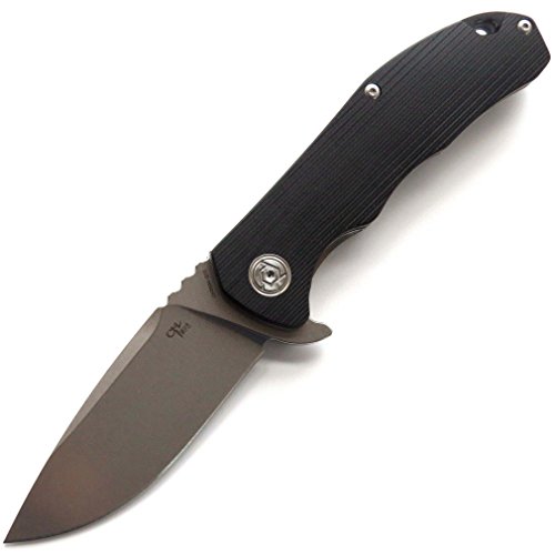 Eafengrow CH3504-G10 Flipper Folding Knife Camping Fruit Pocket Knives EDC Tools D2 Blade Ball Bearings Outdoor Tool (Black)