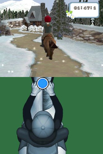 Championship Pony - Nintendo DS