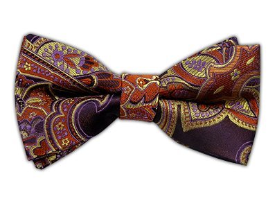 THE TIE BAR 100% WOVEN SILK EGGPLANT SPROUTING PAISLEY SELF-TIE BOW TIE