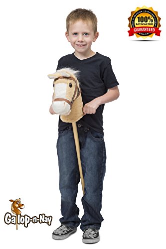 4 Giddy+Up+Cowboys+Cowgirls+Rolling+Gallop+n+Nay