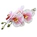 DreamLily Hawaiian Orchid Flower Hair Clips for Wedding Hair Brooch Hawaii Beach Wearing (White Pink)