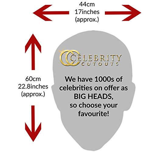 Celebrity Cutouts Noah Schnapp Big Head. Larger Than Life mask.