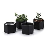 T4U 2.75 Inch Ceramic Six Sizes Semi Luster Surface succulent Plant Pot/Cactus Plant Pot Flower Pot/Container/Planter Matte Black Package 1 Pack of 4