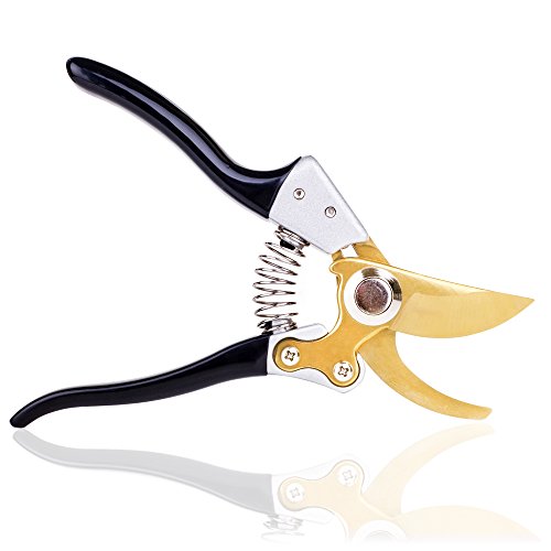 #1 Premium Bypass Pruning Shears ✠ The Toughest Garden Pruner For Trees, Hedges, Shrubs and Roses ✠ Blade Remains Sharp For Longer ✠ Hand Friendly Ergonomic Vinyl Handles For Effortless Cuts - Image 10
