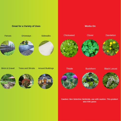 HiYield (33693) Super Concentrate Killzall Weed & Grass Killer (1 gal