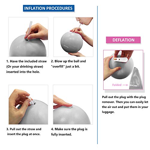 PROMIC 9 Inch Mini Exercise Barre Ball with Inflating Tube, Anti Burst & Slip Resistant Physical