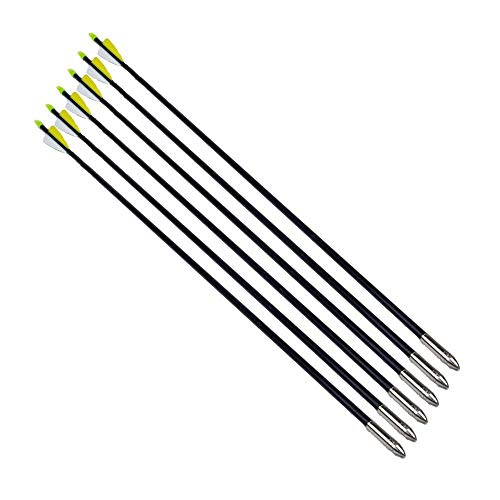 image for POWGYM 12 Pack 30 Inch Fiberglass Archery Arrows Hunting and Target Pr
