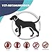 INDREMY Pet Collar for Dogs and Cat for 8-Month Validity Period Adjustable Waterproof Pet Collarthumb 2