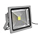 Generic 30W LED White Flood Light