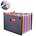 Oak-Pine 24 Pocket Expanding File Folder - Large Plastic Rainbow Expandable File Organizer Self Standing Accordion A4 Document Folder Wallet Briefcase Business Filing Box
