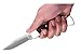 Buck Knives 110 Famous Folding Hunter Knife with Genuine Leather Sheath