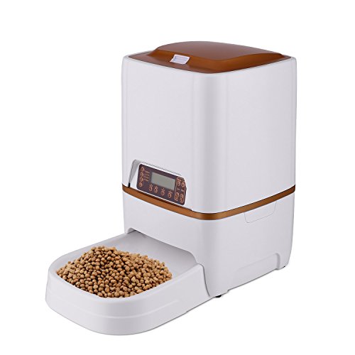 Best Automatic Pet Feeders For Cats And Dogs Entertaining Finds