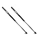 Beneges 2PCs Hood Lift Support for 2002-2008 Dodge Ram 1500 2500 3500, 2008-2010 Dodge Ram 4500 5500 Front Hood Struts Shocks Gas Spring SG314036, 4364
