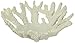 Abbott Collection Coral Bowl, White (Small)