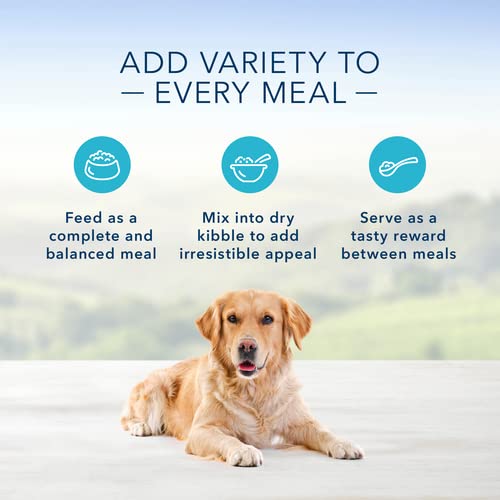 BLUE BUFFALO FAMILY FAVORITE CANNED DOG FOOD, TURKEY DAY FEAST