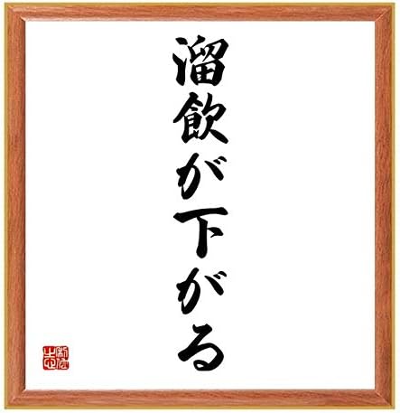 Amazon Co Jp 書道色紙 名言 溜飲が下がる 薄茶額付 受注後直筆 千言堂 ホーム キッチン