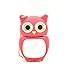 Flash Drive 8GB USB 2.0 Memory Stick - Lovely Pink Owl Pendrive Data Storage - Data Storage Thumb Drive Gift for Family Employees Friends by FEBNISCTE