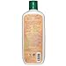 Aubrey Organics White Camellia Shampoo for Smooth Revival and Dry Replenish with Argan and Olive Oils, 11 fl oz (325 ml) (Pack of 2)