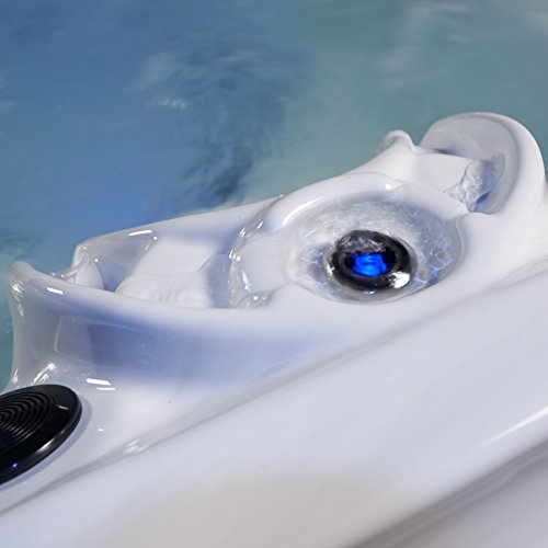 Essential-Hot-Tubs-SS3040807003-Regent-80-Jet-Hot-Tub-Espresso