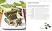 Neal's Yard Remedies Healing Foods